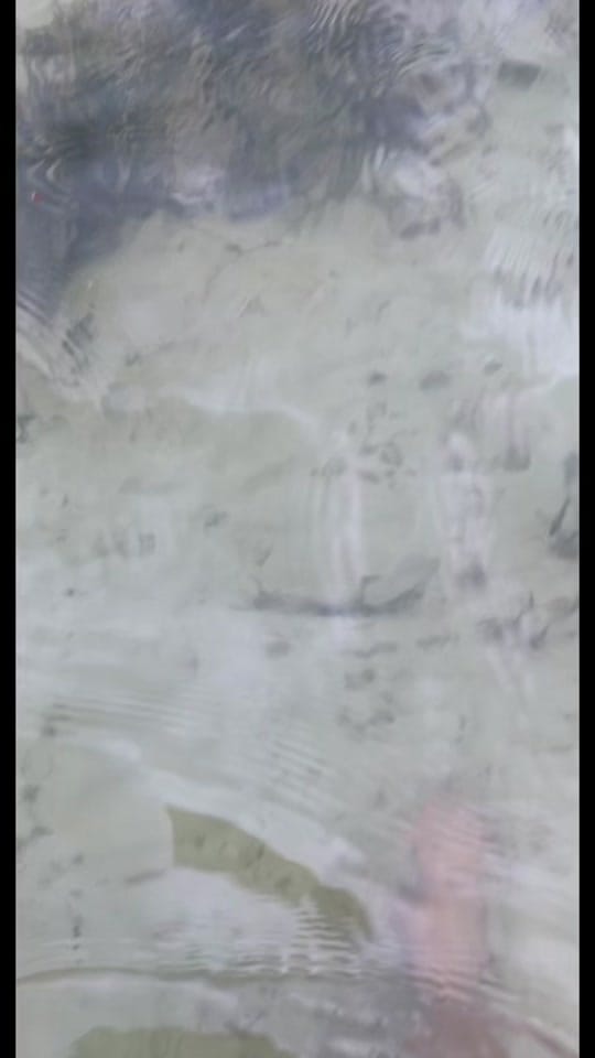 Post 9 by LACEY on TikTok (video)