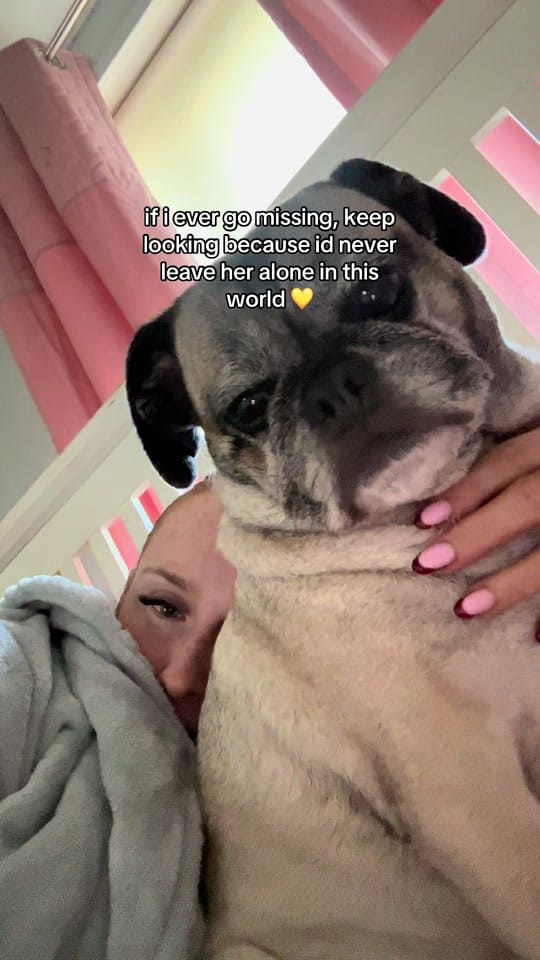 Post 8 by Jemma Behan on TikTok (video)