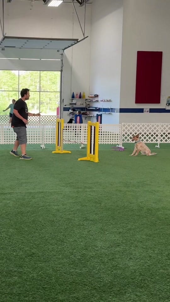 Post 3 by Ben on TikTok (video)