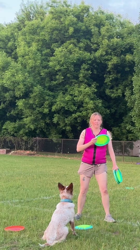 Post 2 by Ben on TikTok (video)