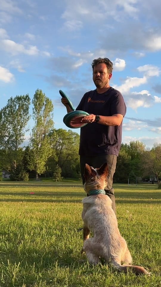 Post 6 by Ben on TikTok (video)