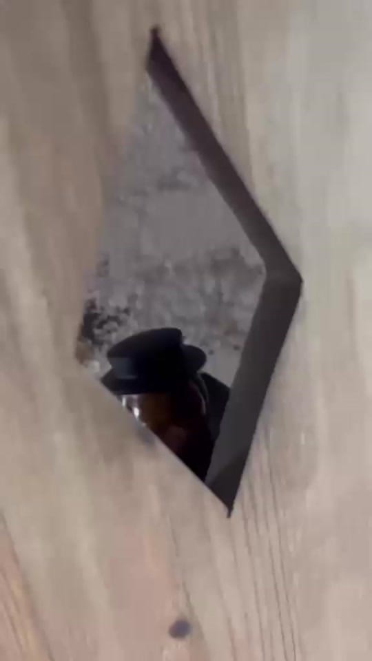 Post 7 by The Real Mary King’s Close on TikTok (video)