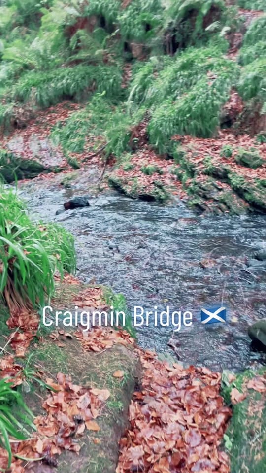 Post 5 by tartantrailblazers on TikTok (video)
