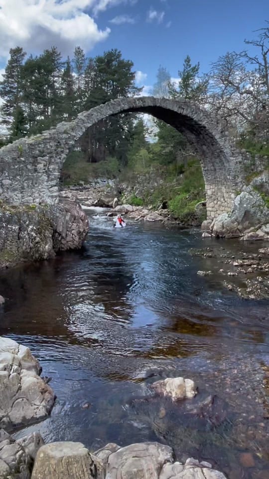 Post 4 by tartantrailblazers on TikTok (video)