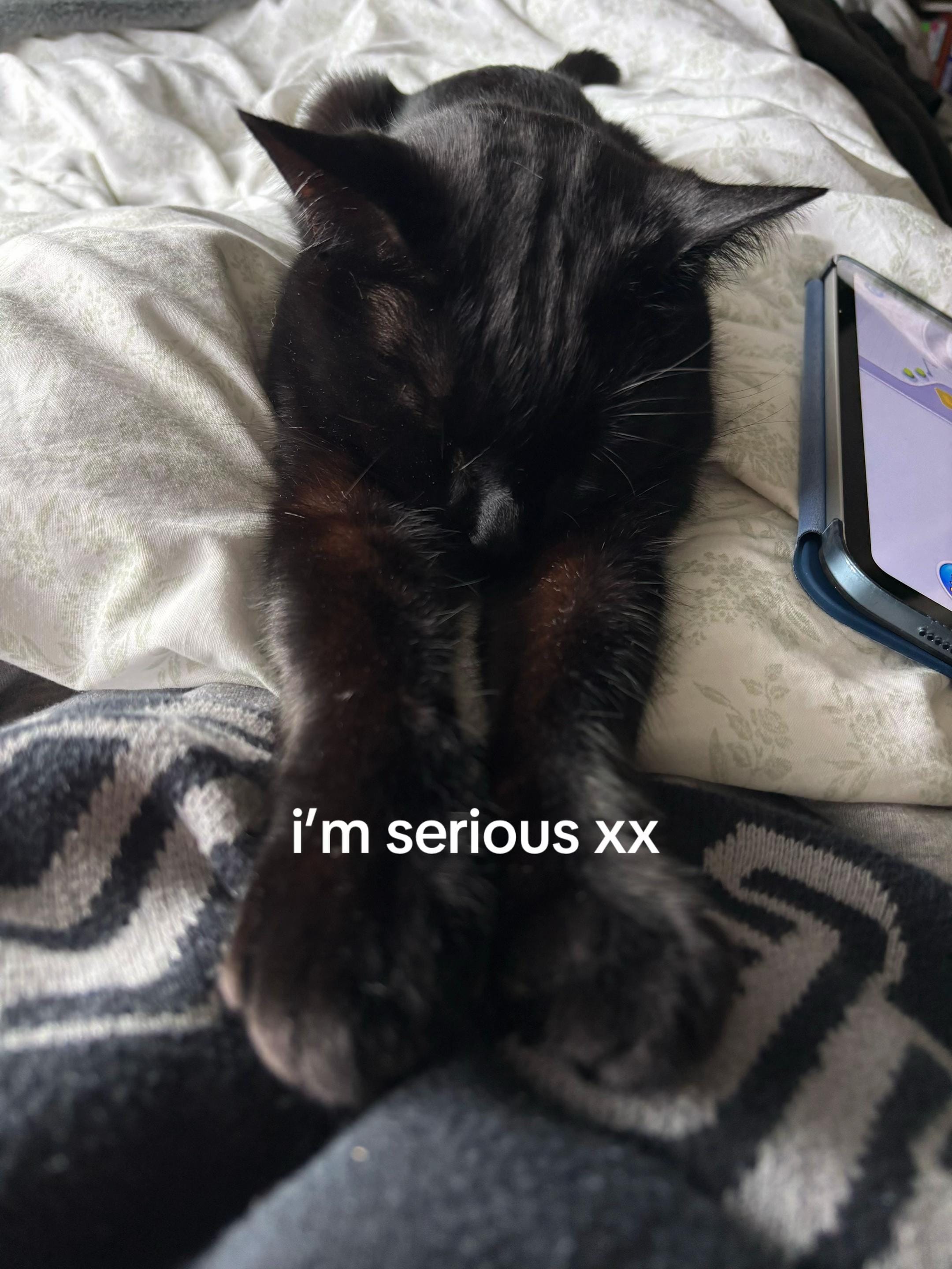 Post 1 by em on TikTok (video)