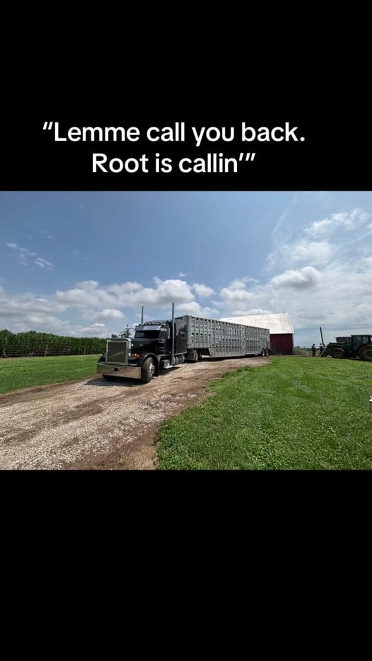 Post 7 by Austin Galloway on TikTok (video)