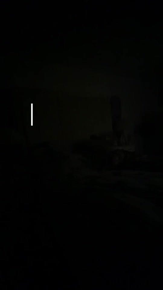 Post 8 by Taylorscholfield on TikTok (video)