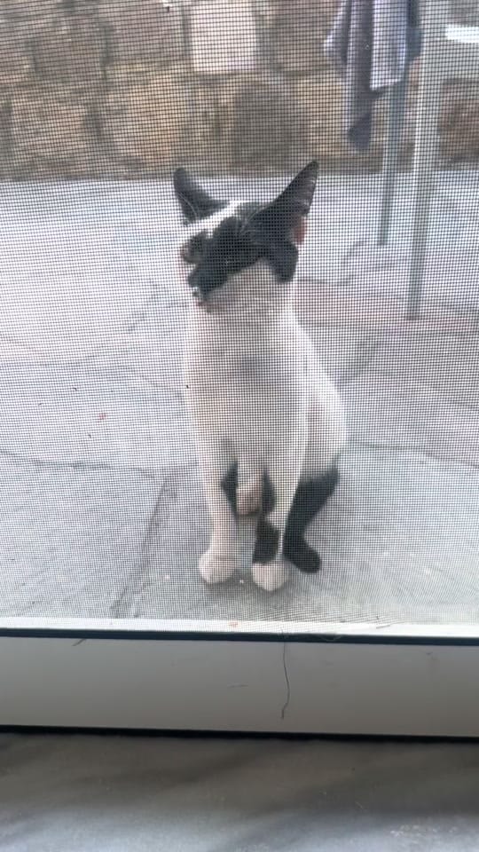 Post 7 by Gemma on TikTok (video)