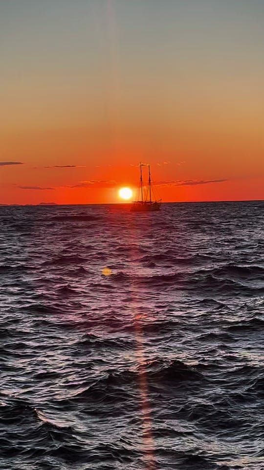 Post 1 by Gemma on TikTok (video)