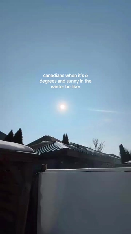 Post 9 by jess🐆 on TikTok (video)