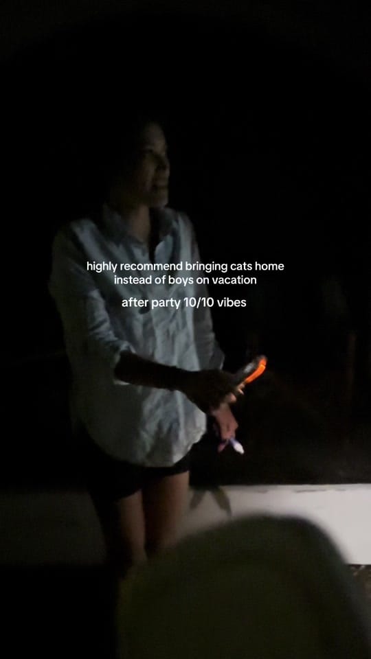 Post 7 by jess🐆 on TikTok (video)