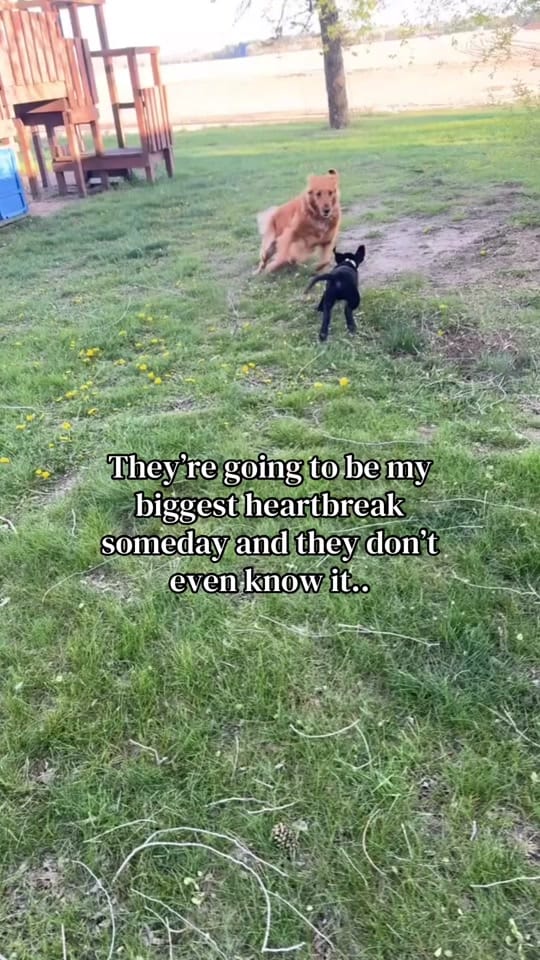 Post 6 by 🦆Makaela Fenske🦌 on TikTok (video)