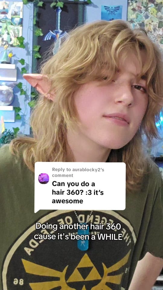 Post 8 by NotQuiteIcarus on TikTok (video)