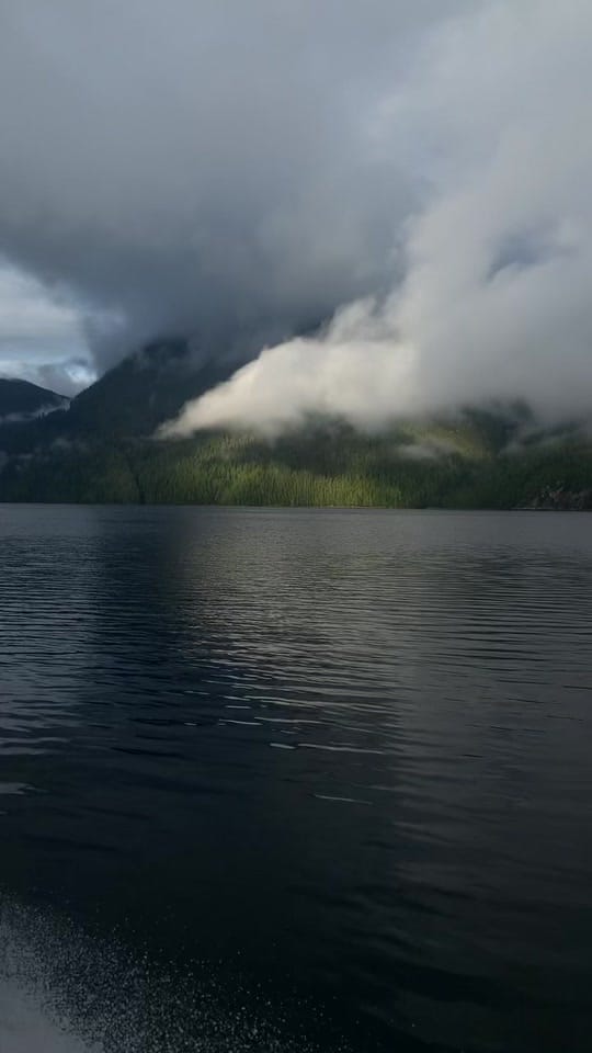 Post 10 by Taylor Burk on TikTok (video)