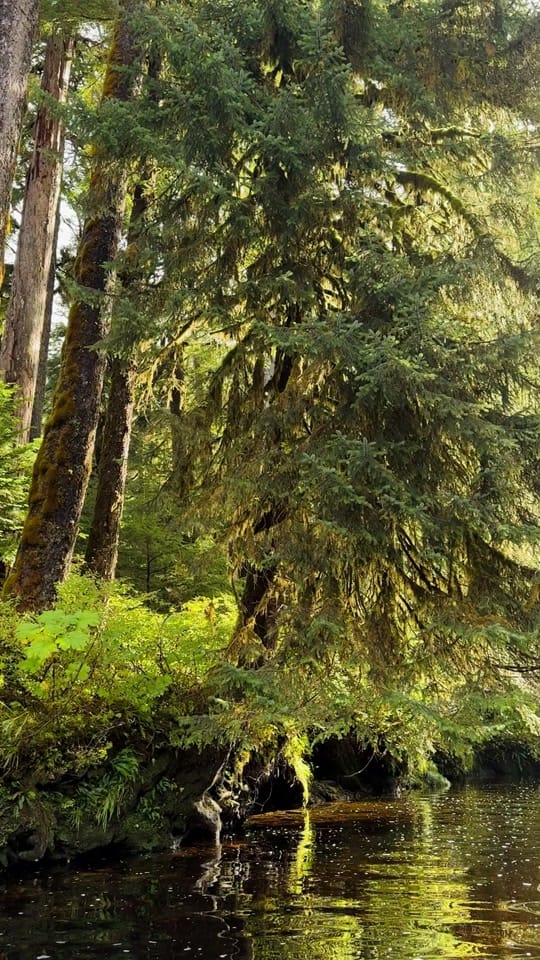 Post 3 by Taylor Burk on TikTok (video)