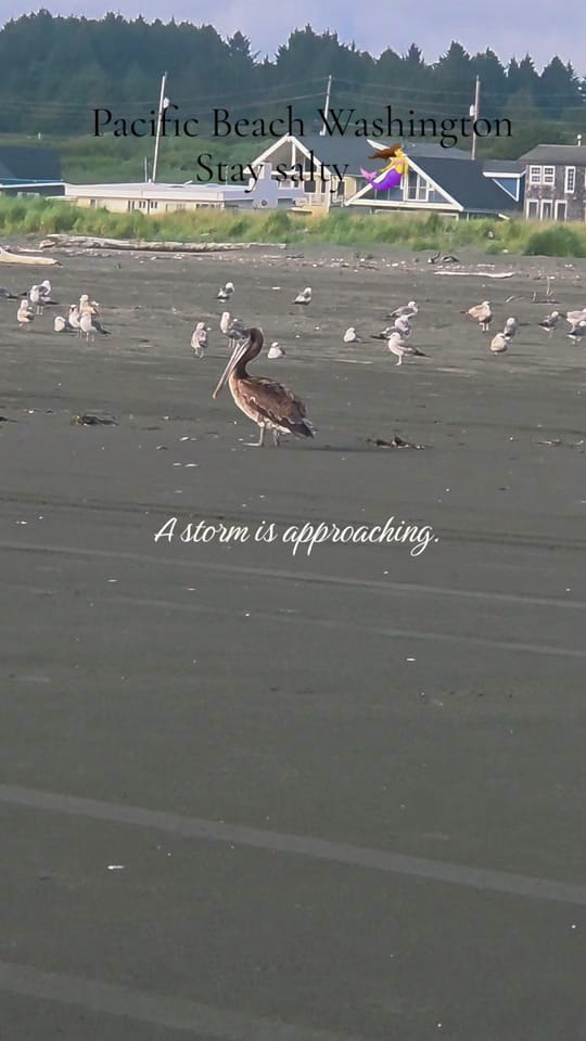 Post 6 by HumptulipsQueen on TikTok (video)