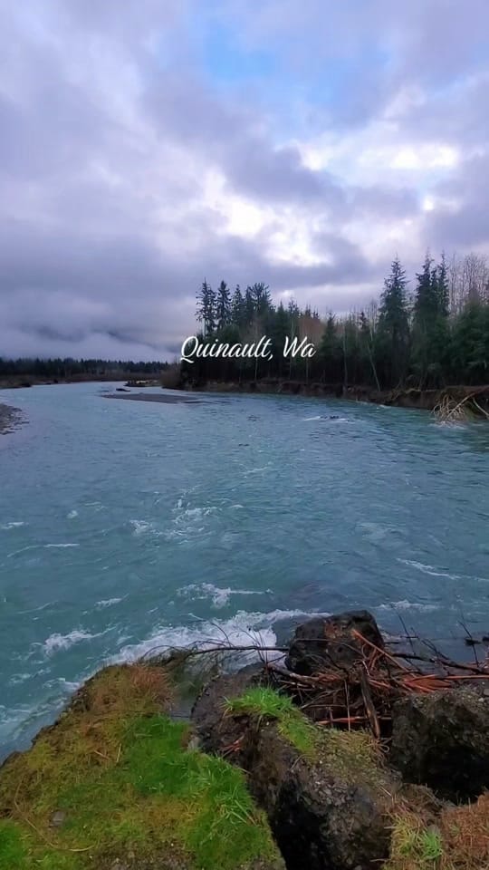 Post 8 by HumptulipsQueen on TikTok (video)