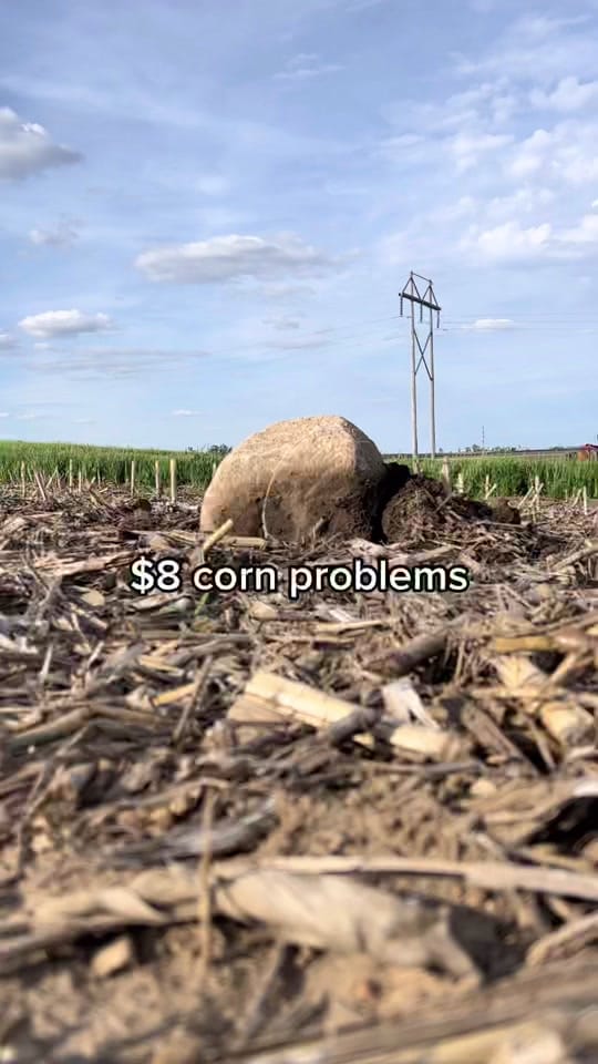 Post 8 by Corey Hillebo on TikTok (video)