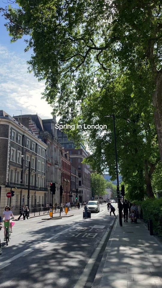 Post 3 by maddie’s postcards on TikTok (video)