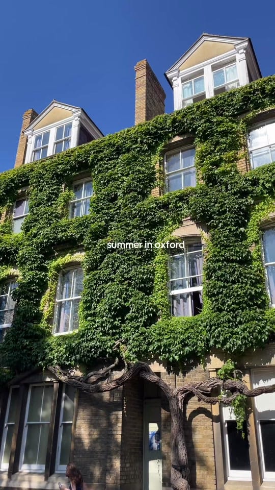 Post 6 by maddie’s postcards on TikTok (video)