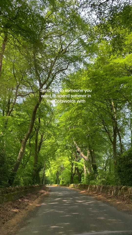 Post 2 by maddie’s postcards on TikTok (video)