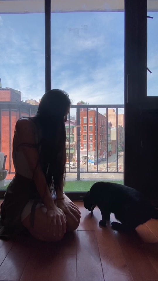 Post 5 by lcndcn on TikTok (video)