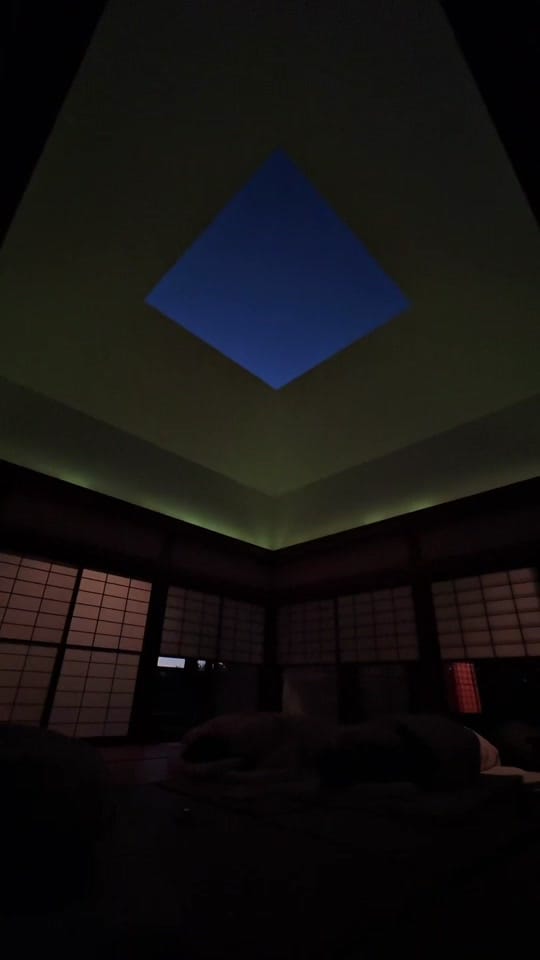 Post 2 by lcndcn on TikTok (video)