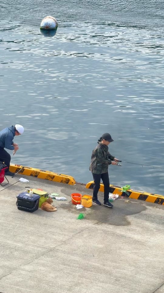 Post 6 by lcndcn on TikTok (video)