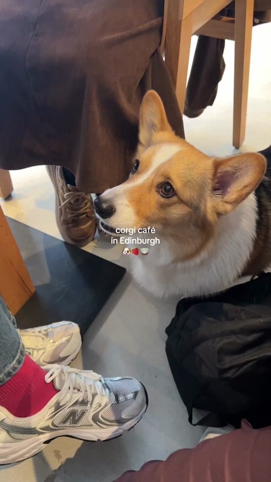 Post 8 by Sasha I Booktok ⋆♱.𖥔 ݁ on TikTok (video)