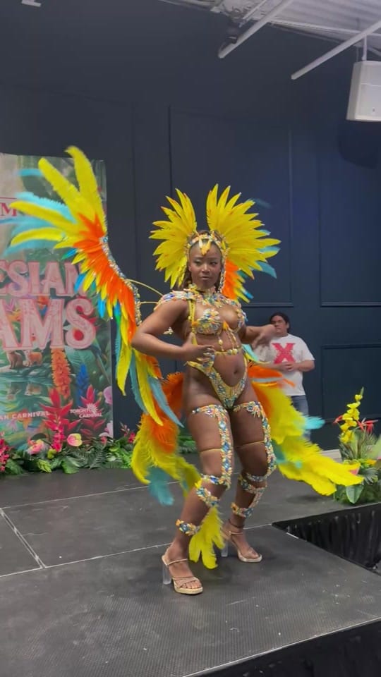 Post 8 by Daniel Royer 🇨🇦/🇹🇹 on TikTok (video)