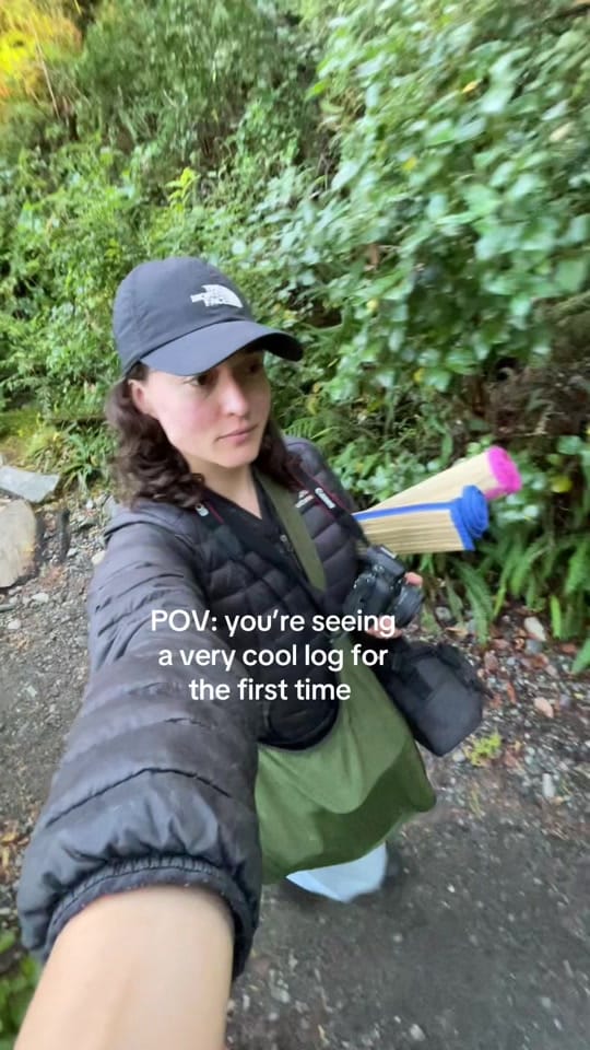 Post 3 by Ella_return2roots on TikTok (video)