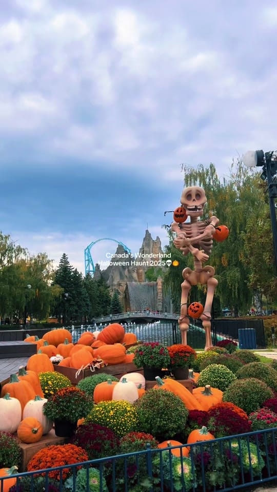 Post 8 by Aulakh | Travel Creator 🇨🇦🌏 on TikTok (video)