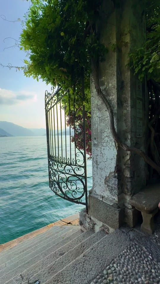 Post 8 by Armaan Hothi on TikTok (video)