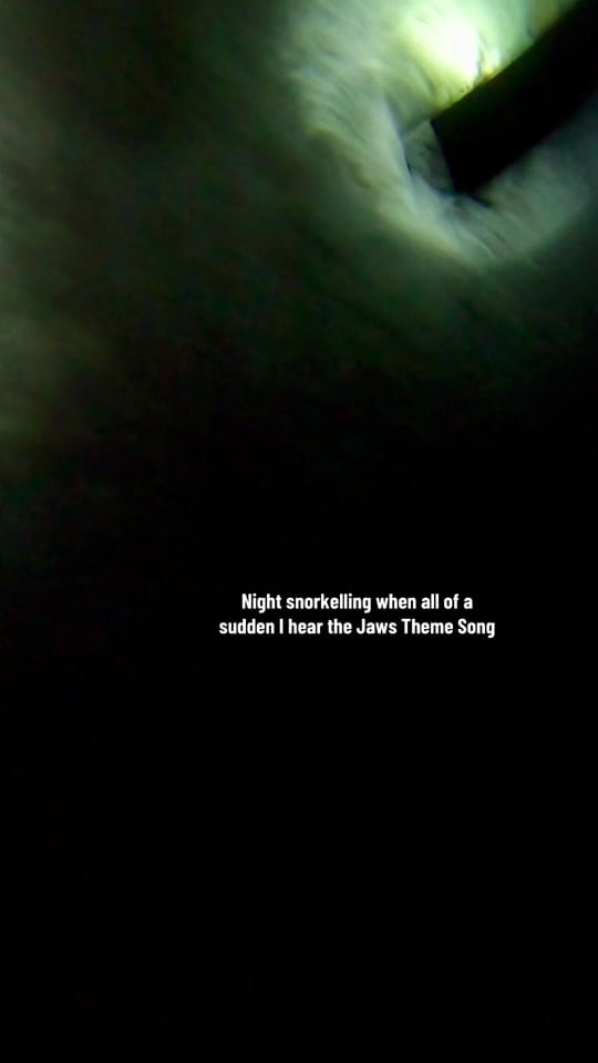 Post 2 by Armaan Hothi on TikTok (video)