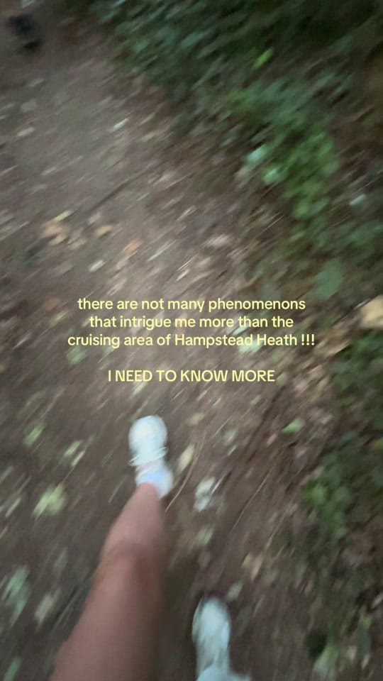 Post 5 by Frankie 🌍📍 on TikTok (video)
