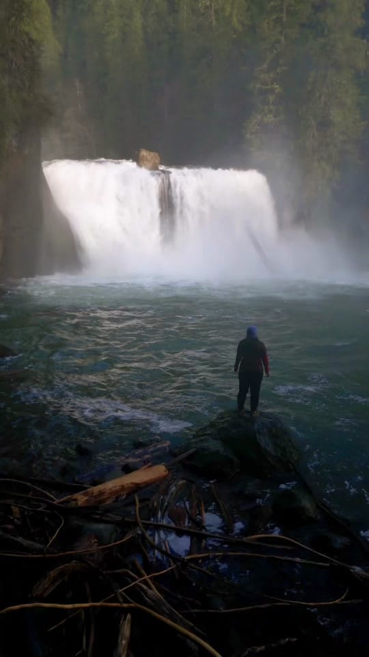 Post 7 by Lolowandering on TikTok (video)