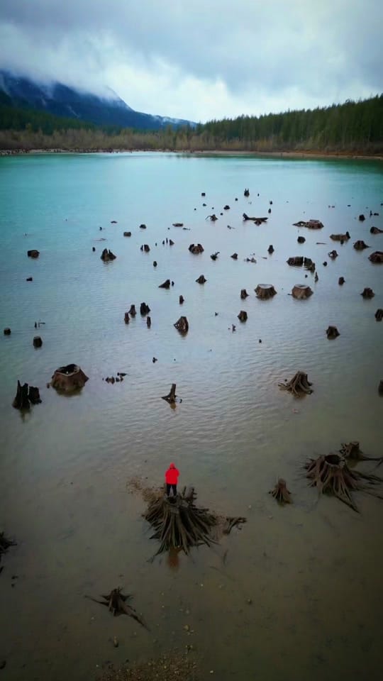 Post 10 by Lolowandering on TikTok (video)