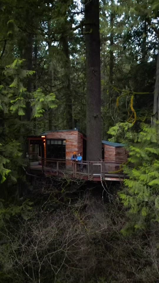 Post 9 by Lolowandering on TikTok (video)