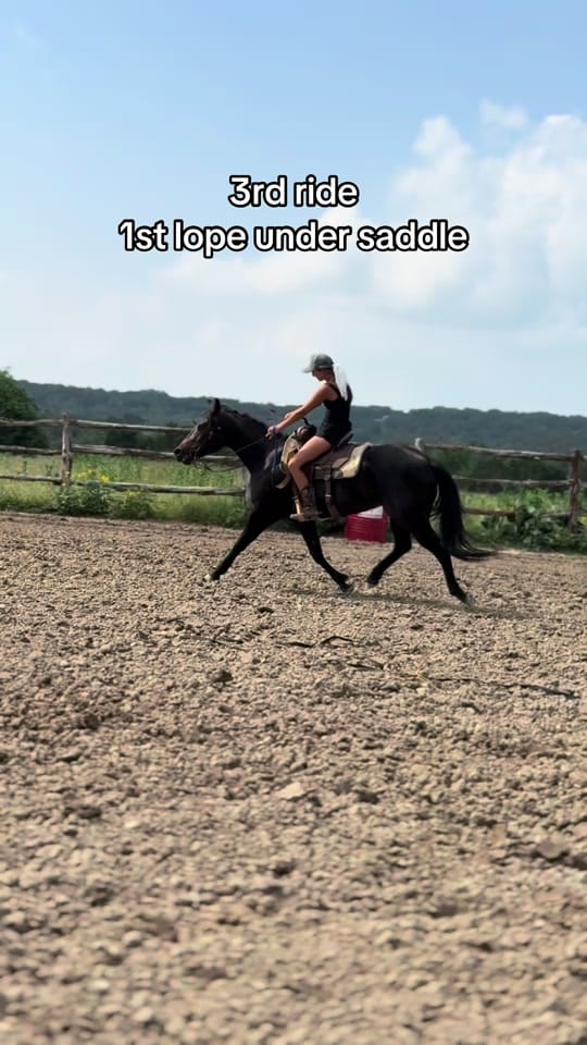 Post 5 by Jackie Neira on TikTok (video)