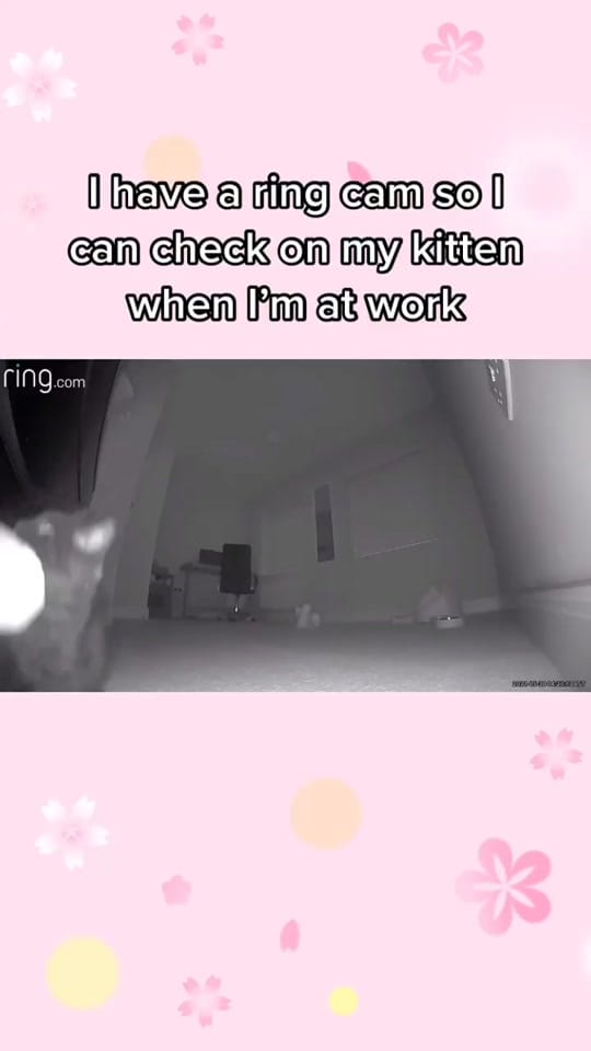 Post 10 by KRISTIN SCHANKS on TikTok (video)