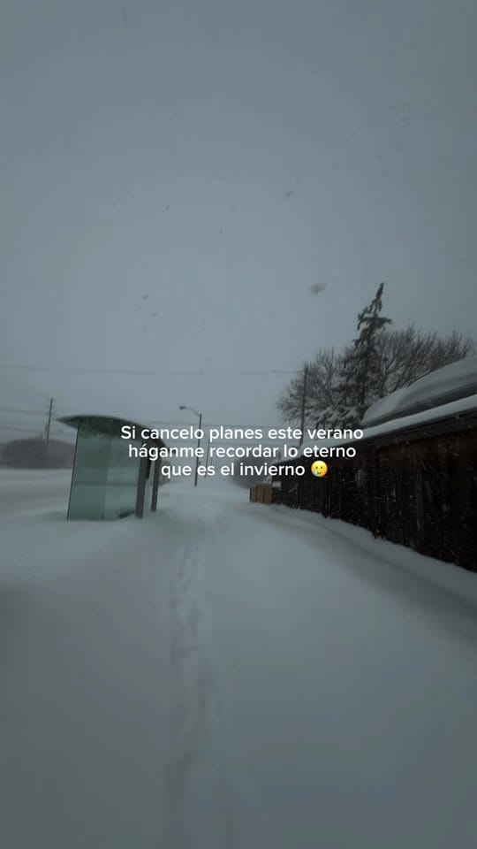 Post 6 by Ixel Cano on TikTok (video)