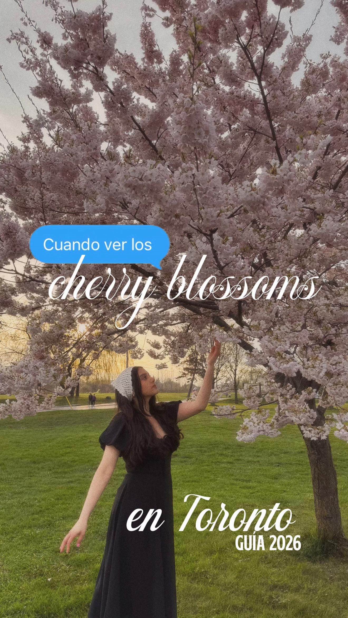 Post 8 by Ixel Cano on TikTok (video)
