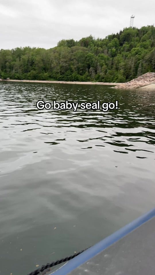 Post 2 by Going Awesome Places ✈️ on TikTok (video)