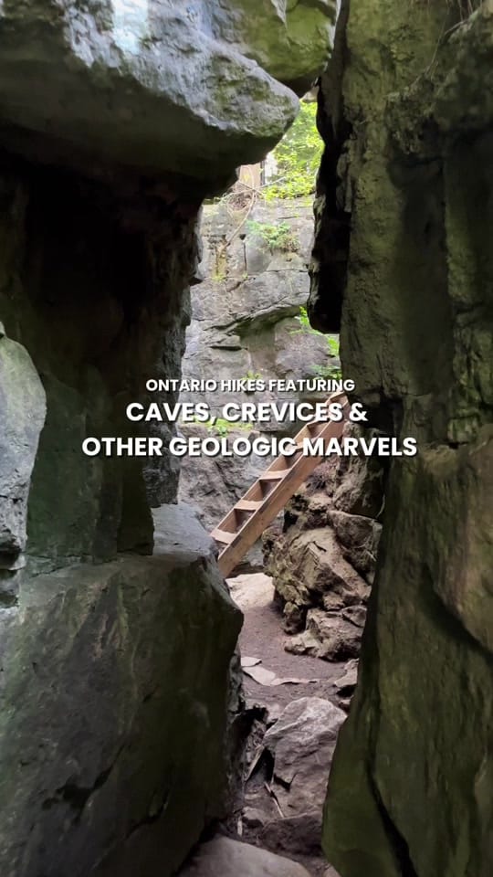Post 3 by marie 🌻🌲 on TikTok (video)