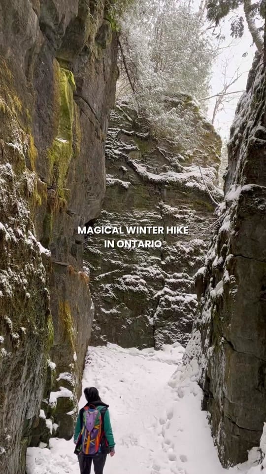 Post 8 by marie 🌻🌲 on TikTok (video)