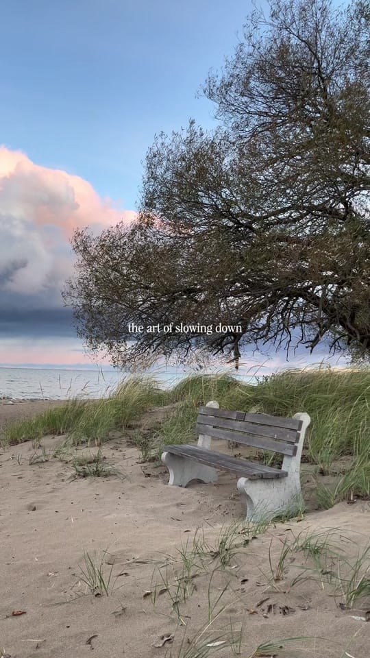 Post 2 by marie 🌻🌲 on TikTok (video)