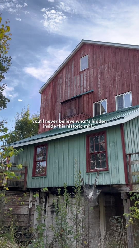 Post 1 by marie 🌻🌲 on TikTok (video)