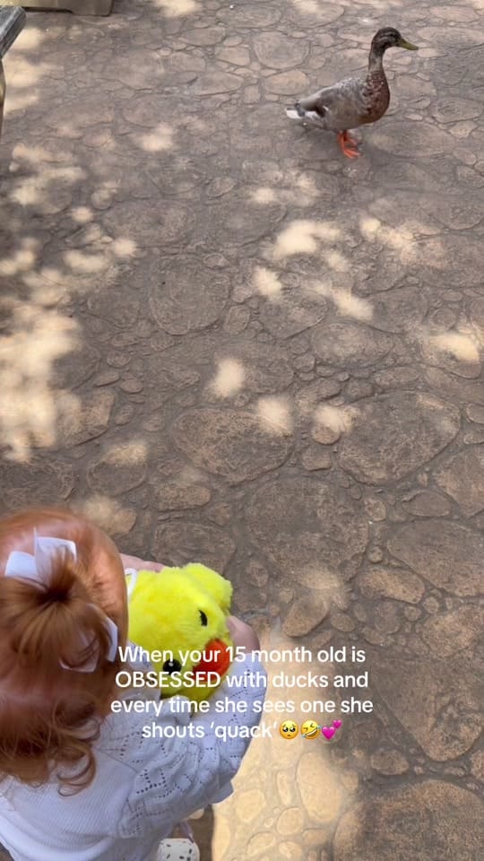 Post 3 by Lydiazeren_x on TikTok (video)