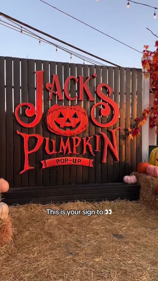 Post 4 by Jack’s Pumpkin Pop-Up on TikTok (video)