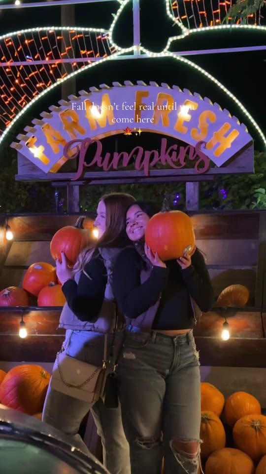 Post 3 by Jack’s Pumpkin Pop-Up on TikTok (video)